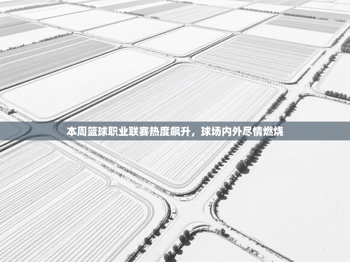 本周篮球职业联赛热度飙升,球场内外尽情燃烧 第1张