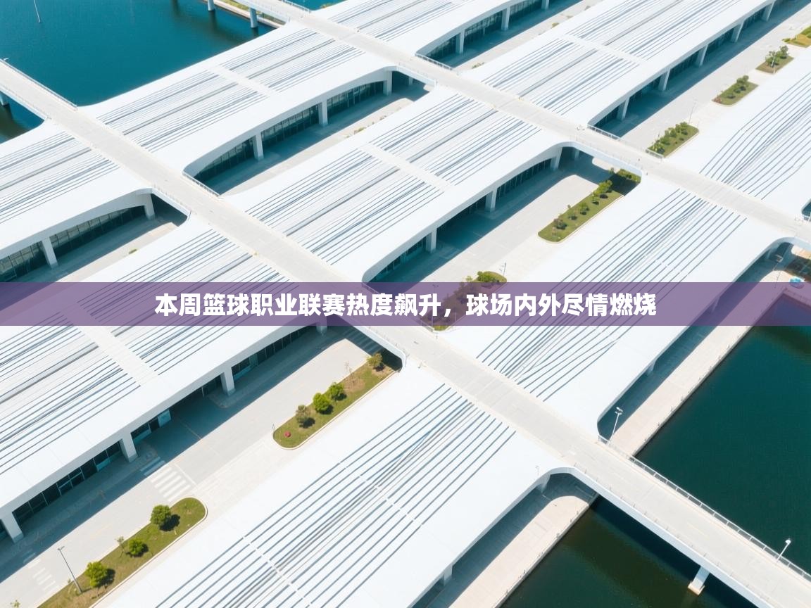 本周篮球职业联赛热度飙升,球场内外尽情燃烧 第2张